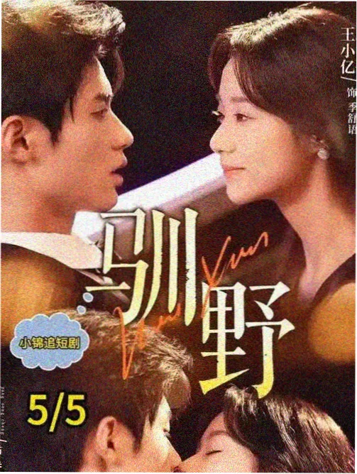 天堂影视在线观看《玻璃城》都市剧封面